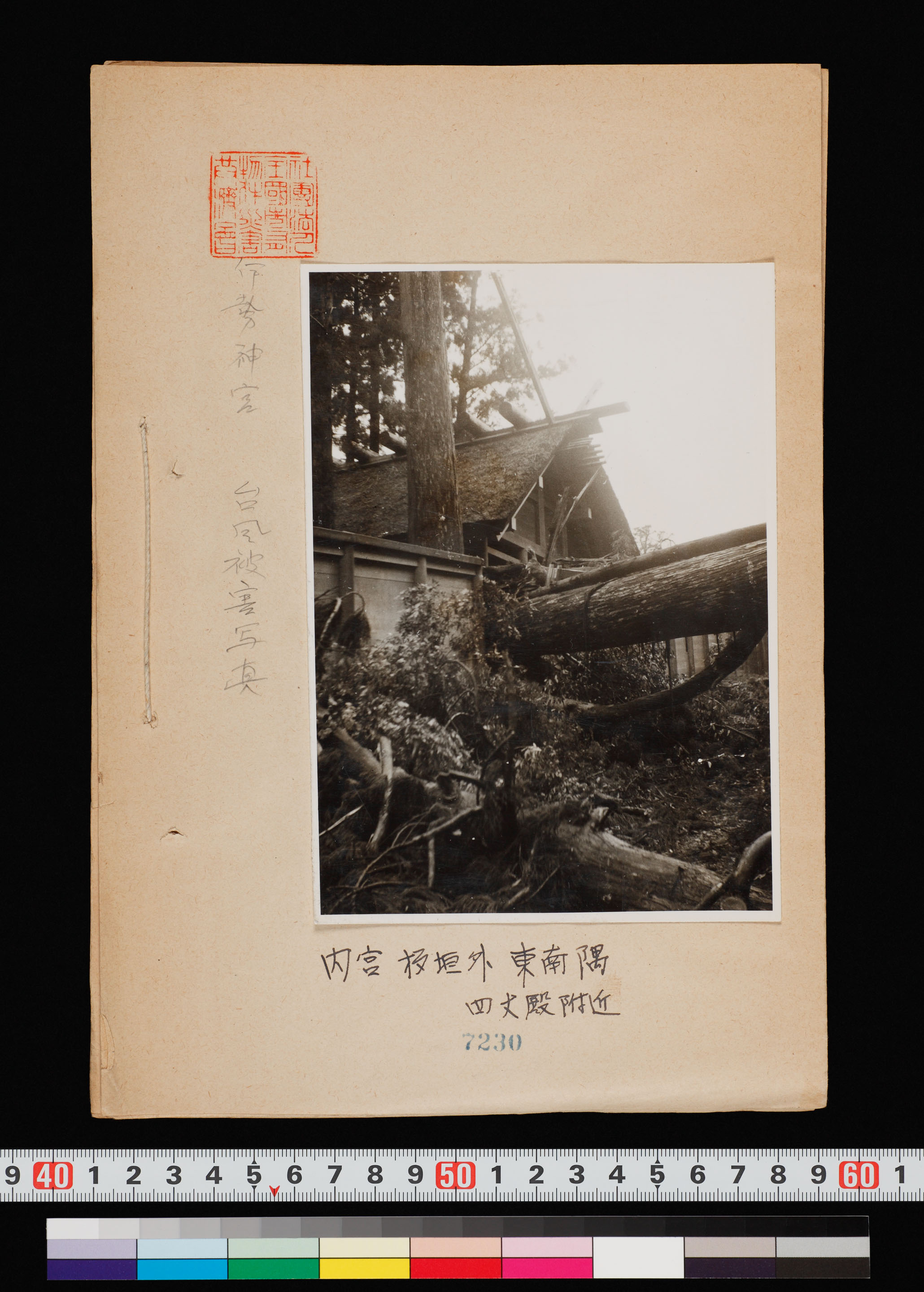 伊勢神宮 伊勢湾台風被害写真 三重県 1 15